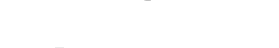 superfuture® | logo